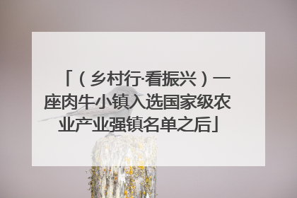 （乡村行·看振兴）一座肉牛小镇入选国家级农业产业强镇名单之后