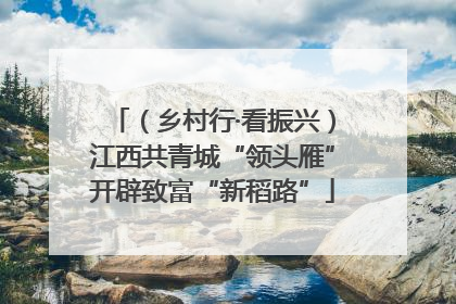 （乡村行·看振兴）江西共青城“领头雁”开辟致富“新稻路”