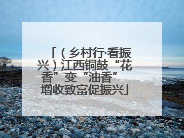 （乡村行·看振兴）江西铜鼓“花香”变“油香” 增收致富促振兴