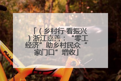 （乡村行·看振兴）浙江嘉善：“零工经济”助乡村民众“家门口”增收