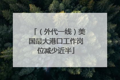 （外代一线）美国最大港口工作岗位减少近半