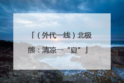 （外代一线）北极熊：清凉一“夏”