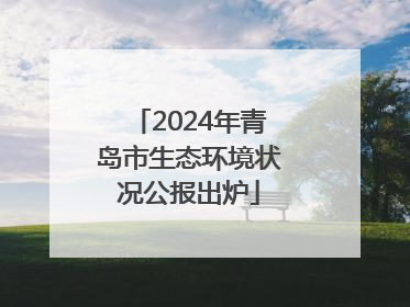 2024年青岛市生态环境状况公报出炉