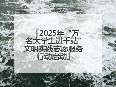 2025年“万名大学生进千站”文明实践志愿服务行动启动