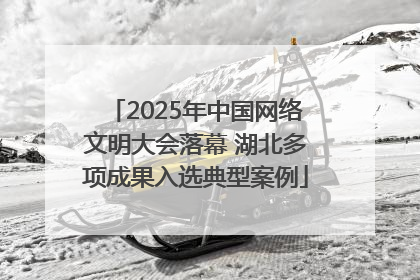 2025年中国网络文明大会落幕 湖北多项成果入选典型案例