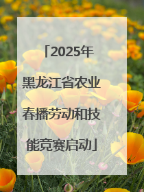 2025年黑龙江省农业春播劳动和技能竞赛启动