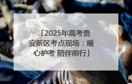 2025年高考贵安新区考点现场：暖心护考 陪伴前行