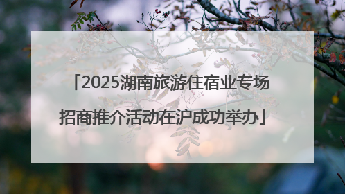 2025湖南旅游住宿业专场招商推介活动在沪成功举办