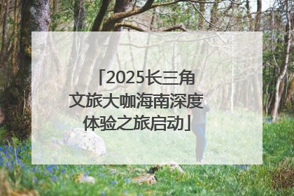 2025长三角文旅大咖海南深度体验之旅启动