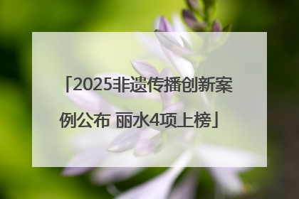 2025非遗传播创新案例公布 丽水4项上榜
