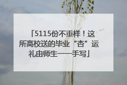 5115份不重样！这所高校送的毕业“杏”运礼由师生一一手写
