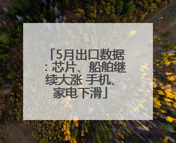 5月出口数据：芯片、船舶继续大涨 手机、家电下滑