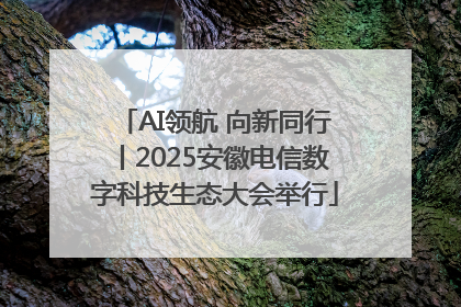 AI领航 向新同行丨2025安徽电信数字科技生态大会举行