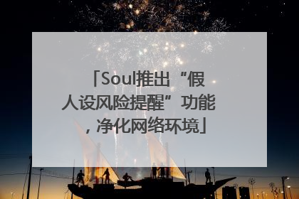 Soul推出“假人设风险提醒”功能，净化网络环境